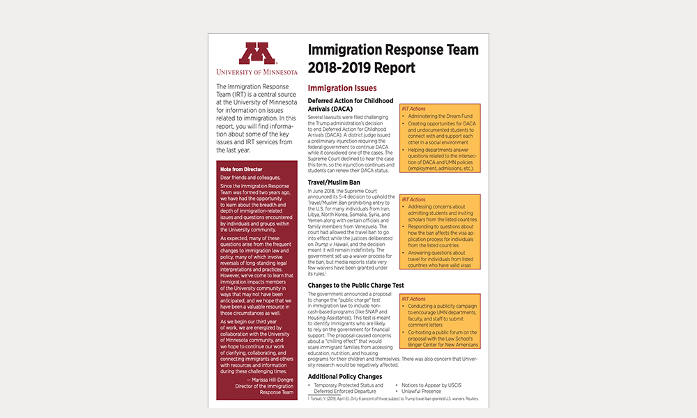 IRT 2018-19 annual report